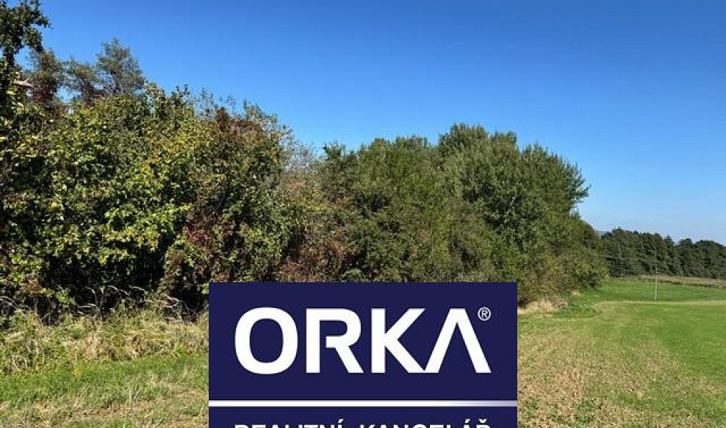 Prodej louky 7 785 m², Veselíčko – náhled fotky 3