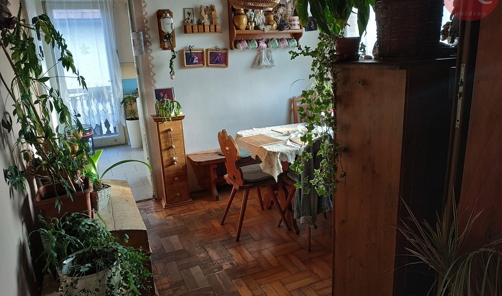 Prodej domu 265 m² s pozemkem 1 800 m², Malé Svatoňovice – náhled fotky 8