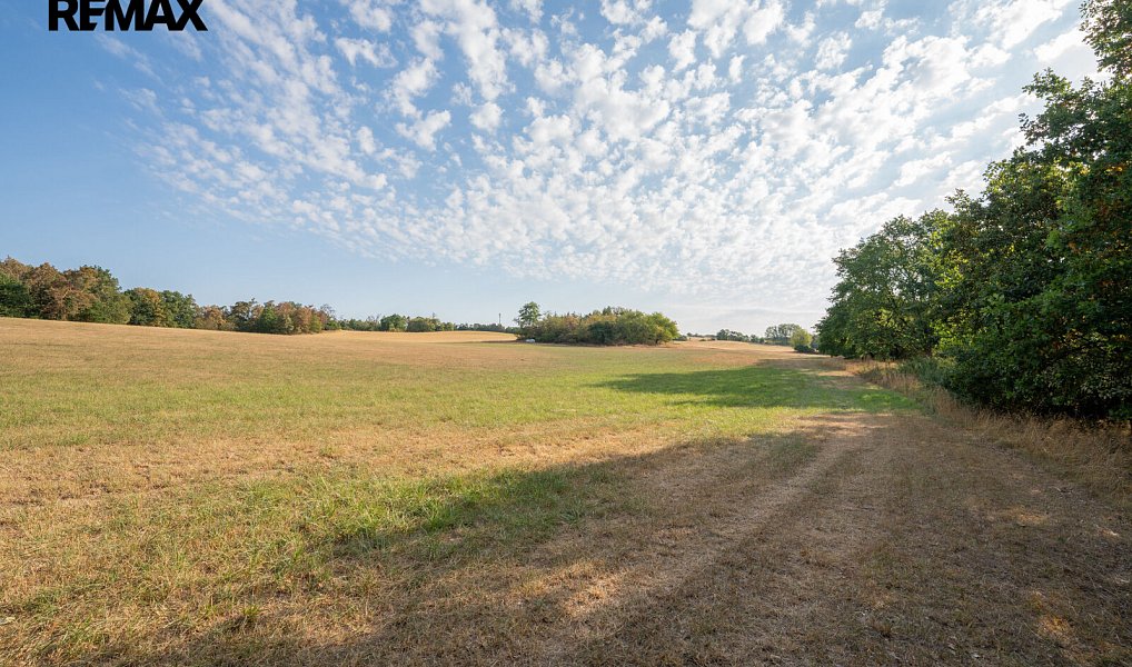 Prodej pole 11 767 m², Benešov – náhled fotky 10