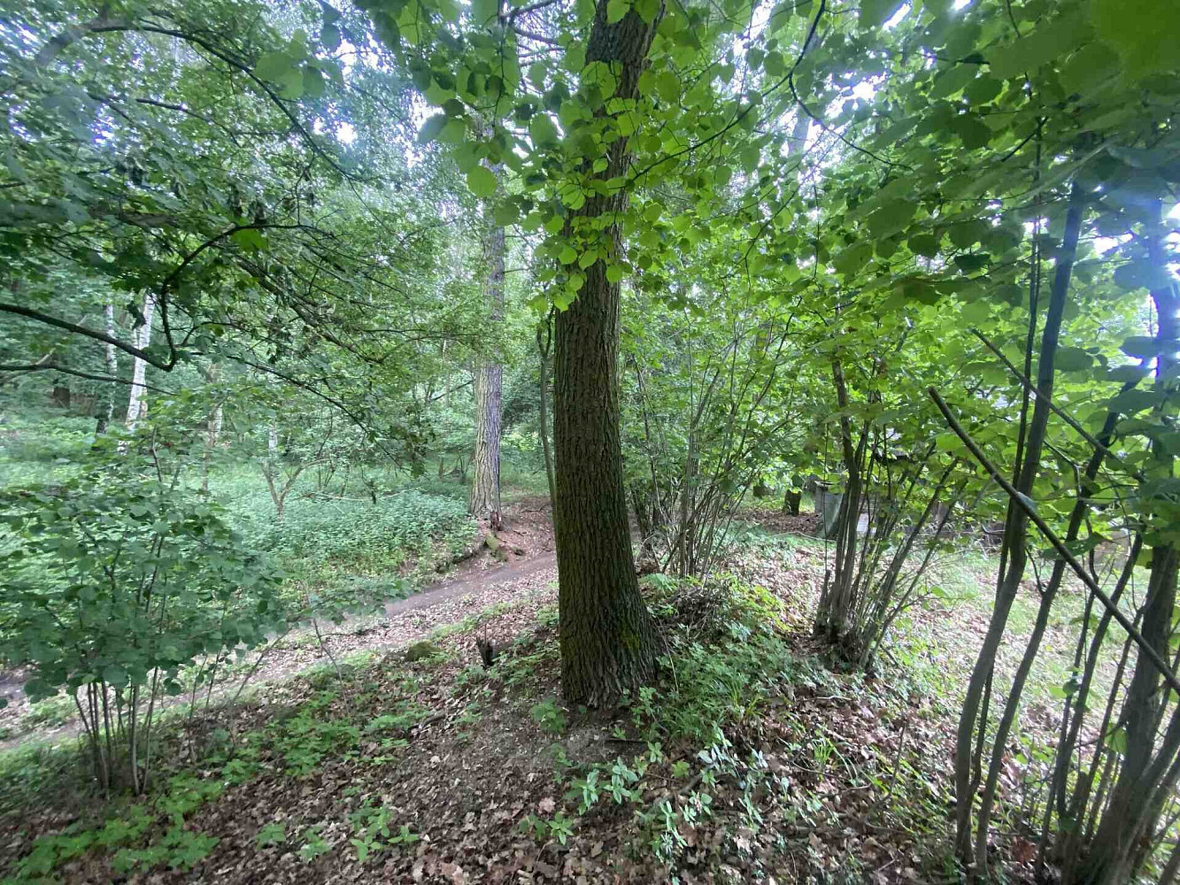 Prodej pozemku 576 m²