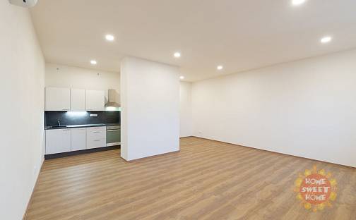 Pronájem bytu 1+kk 48 m², Lípová, Praha 2 - Nové Město