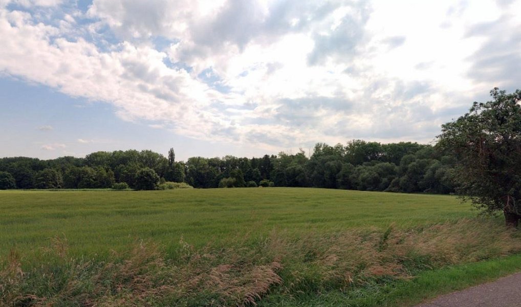 Prodej pole 4 623 m², Květnice – náhled fotky 5