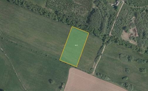 Prodej louky 10 323 m², Dvůr Králové nad Labem, okres Trutnov