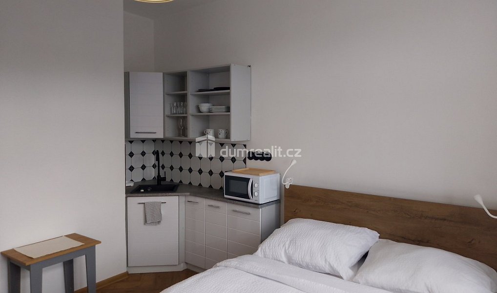 Pronájem bytu 1+kk 20 m², Karlovy Vary – náhled fotky 12