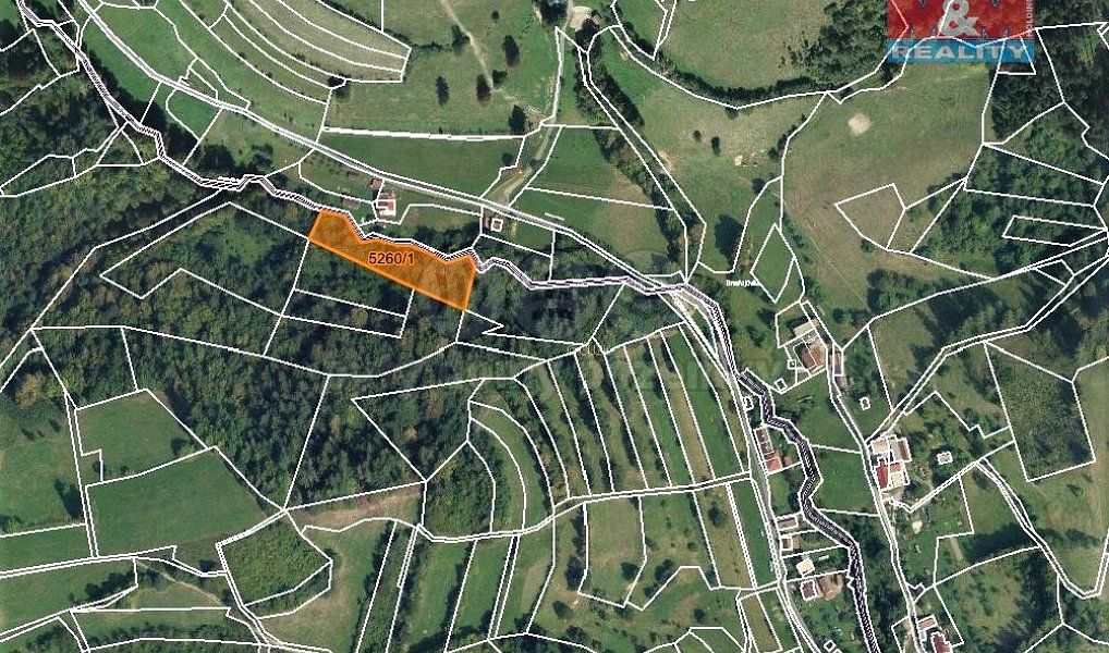 Prodej lesa 4 913 m², Huslenky – náhled fotky 4