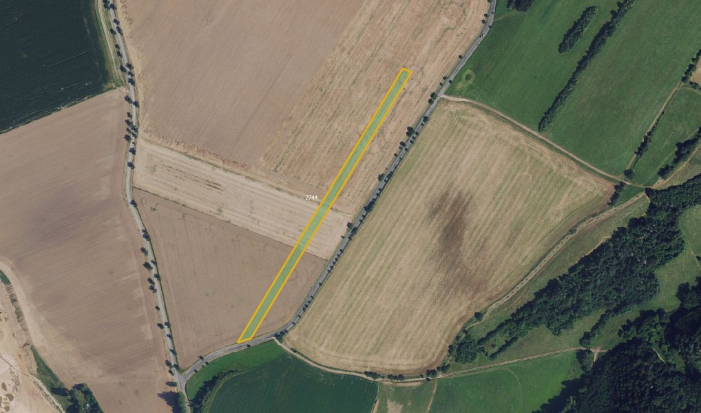 Prodej pole 64 073 m², Chornice – náhled fotky 4