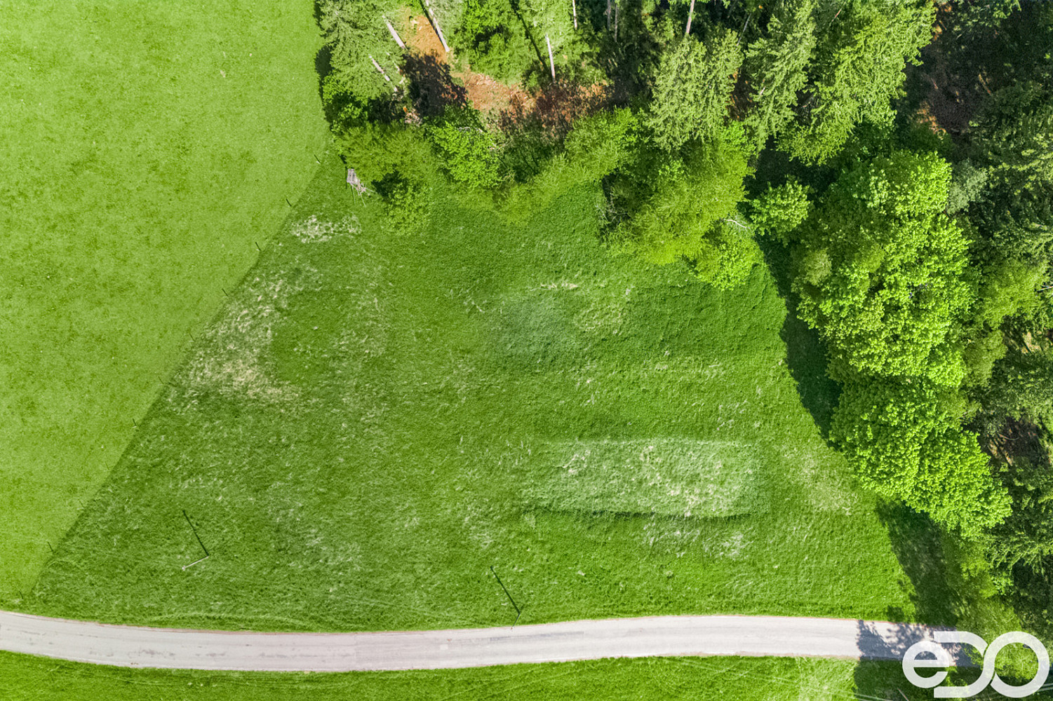 Prodej stavebního pozemku 5 934 m² – fotografie 4