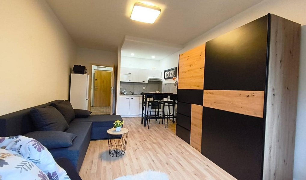 Pronájem bytu 1+kk 28 m², Bohumín – náhled fotky 2