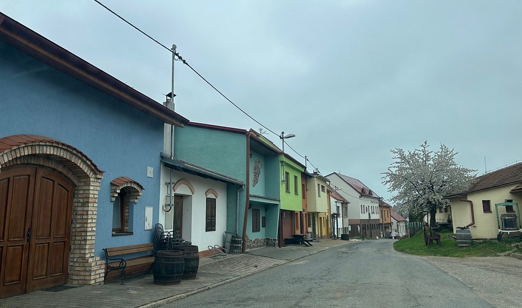 Prodej domu 76 m² s pozemkem 342 m², Čejkovice – náhled fotky 15