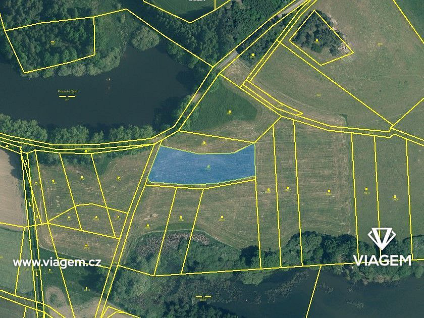Prodej pole 2 472 m² – fotografie 2
