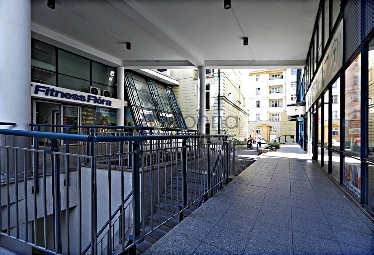 Pronájem obchodních prostor 257 m² – fotografie 3