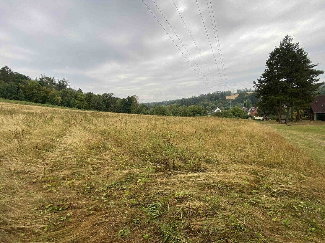 Prodej louky 1 160 m² – fotografie 4