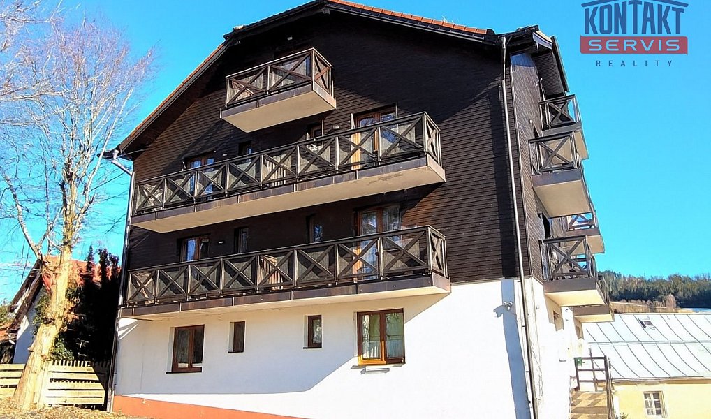 Pronájem bytu 1+kk 50 m², Železná Ruda – náhled fotky 12