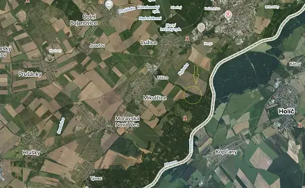 Prodej lesa 2 795 m², Mikulčice, okres Hodonín