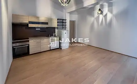 Pronájem bytu 1+kk 30 m²