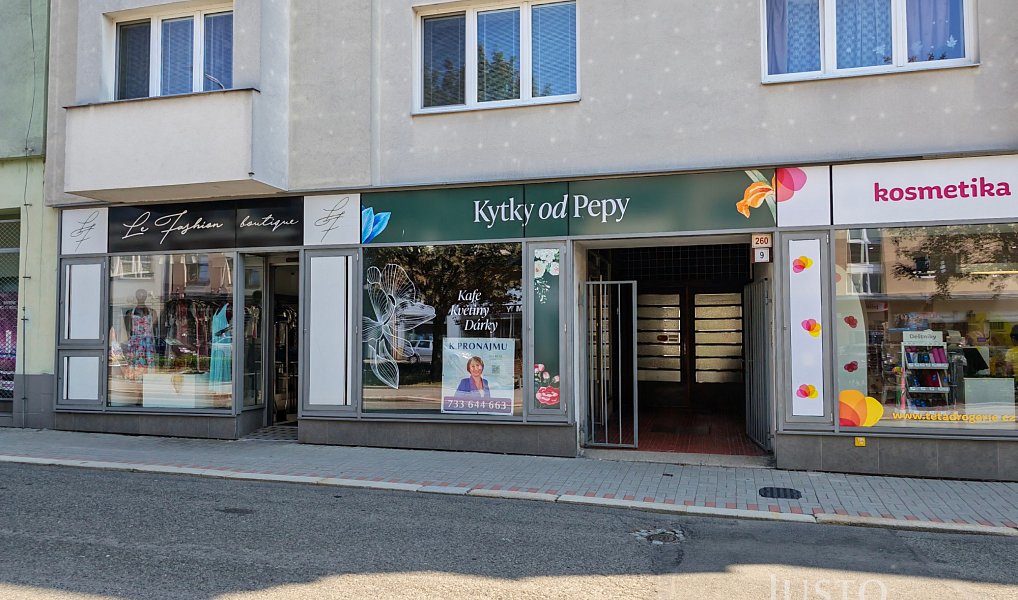 Pronájem obchodních prostor 37 m², Zábřeh – náhled fotky 9