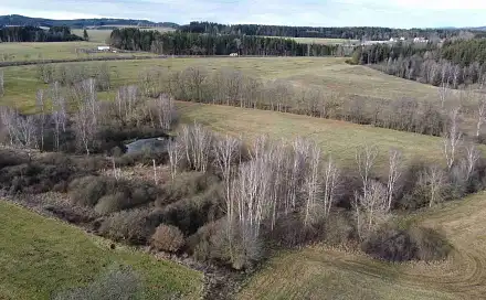 Prodej pozemku 18 915 m², Dolní Dvořiště - Trojany, okres Český Krumlov