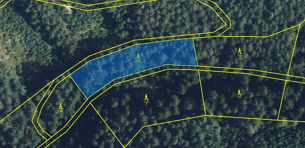 Prodej lesa 5 021 m²