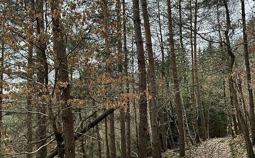 Prodej lesa 3 582 m², Malá Skála, okres Jablonec nad Nisou