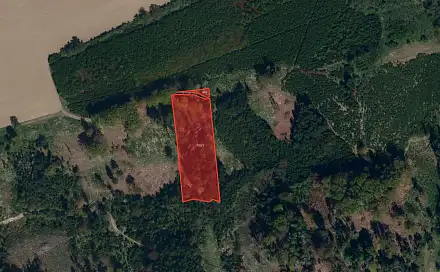 Prodej lesa 5 121 m², Kaliště - Podivice, okres Pelhřimov