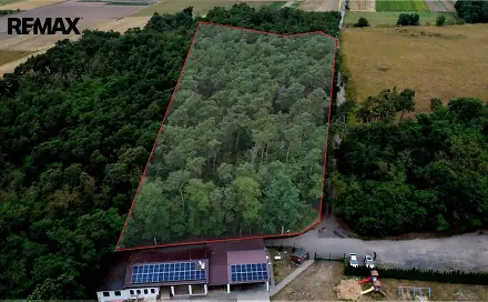 Prodej lesa 16 110 m², Terezín, okres Litoměřice