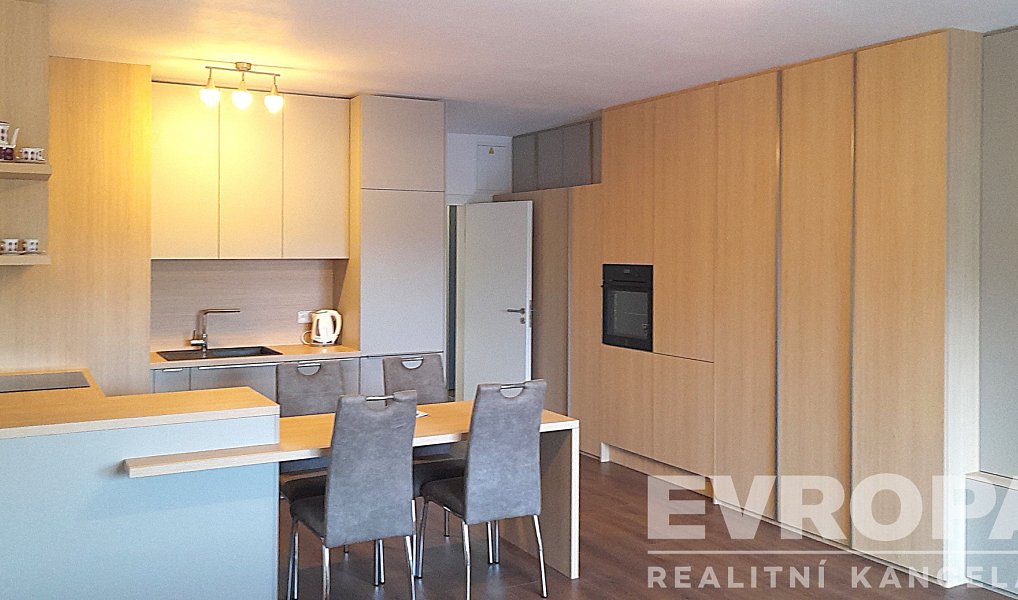 Pronájem bytu 1+kk 49 m², Praha – náhled fotky 4
