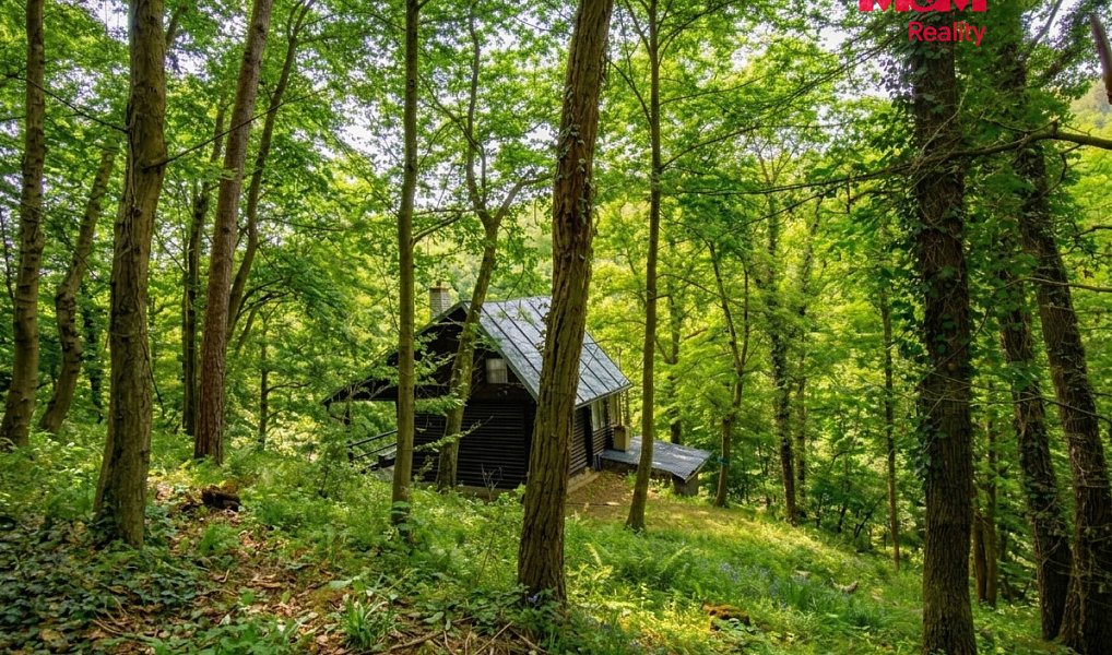 Prodej chaty/chalupy 70 m² s pozemkem 38 m², Jílové u Prahy – náhled fotky 3