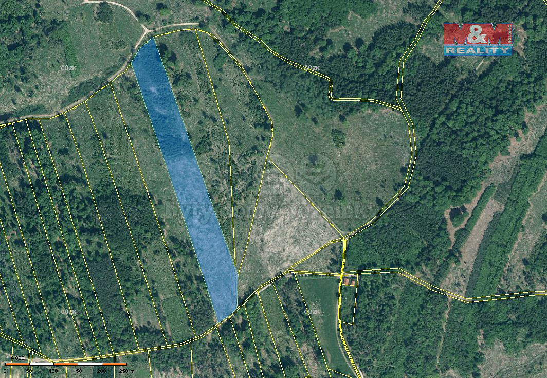 Prodej lesa 36 550 m²