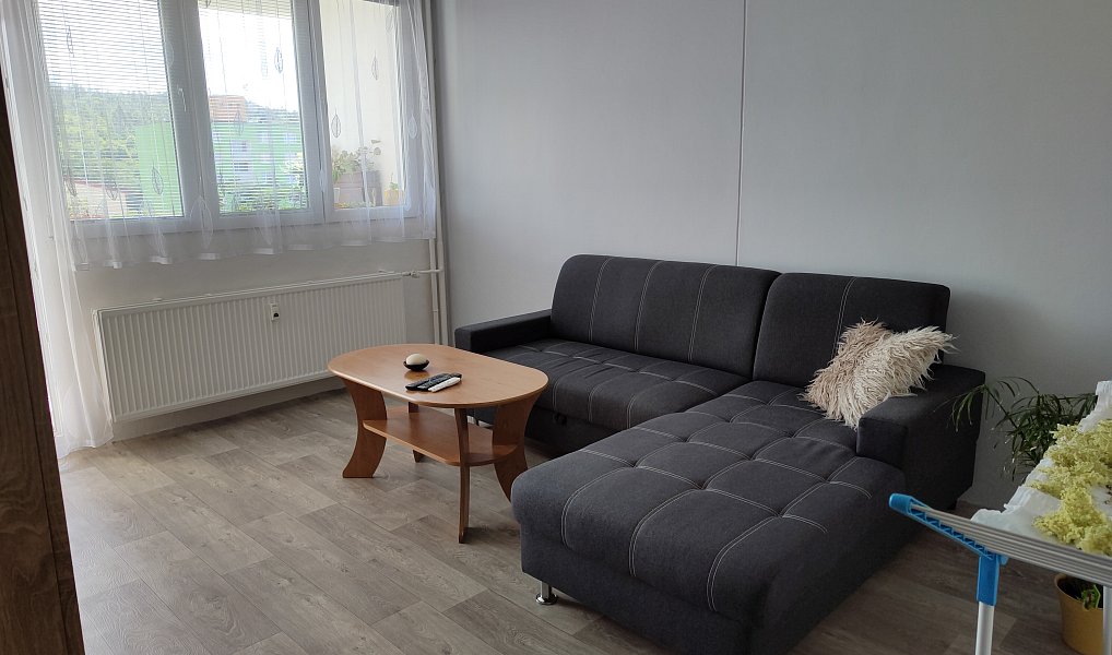 Pronájem bytu 3+1 67 m², Planá – náhled fotky 19