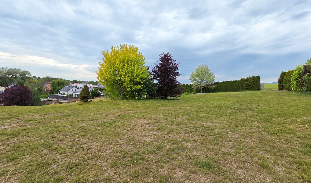 Prodej stavebního pozemku 3 871 m², Tršice – náhled fotky 3
