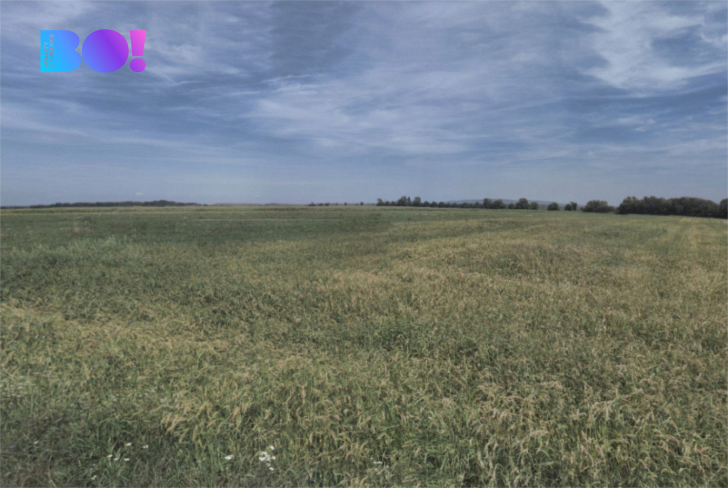 Prodej pole 9 400 m² – fotografie 2