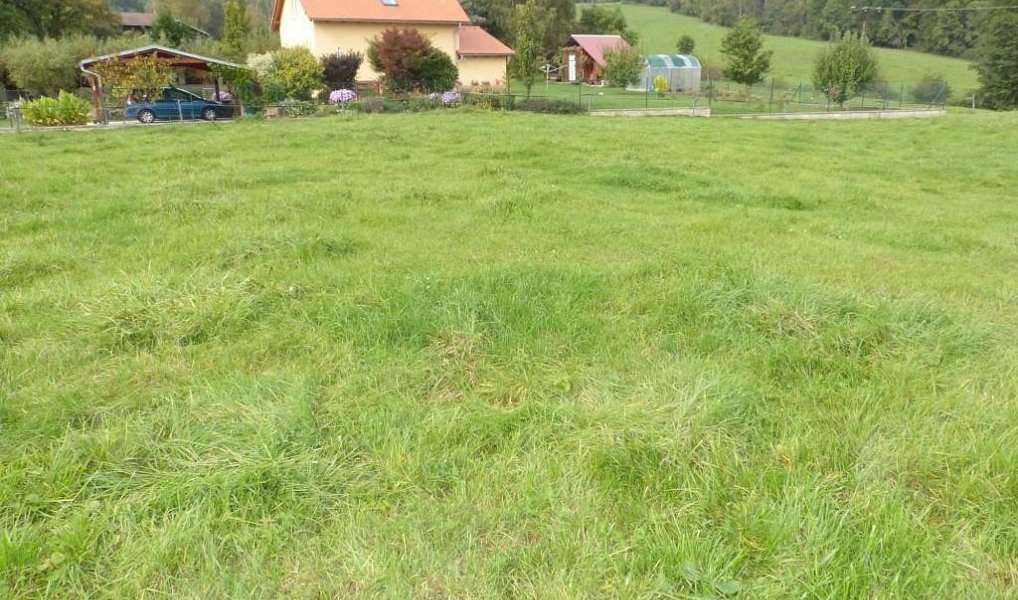 Prodej stavebního pozemku 6 828 m², Malšovice – náhled fotky 3