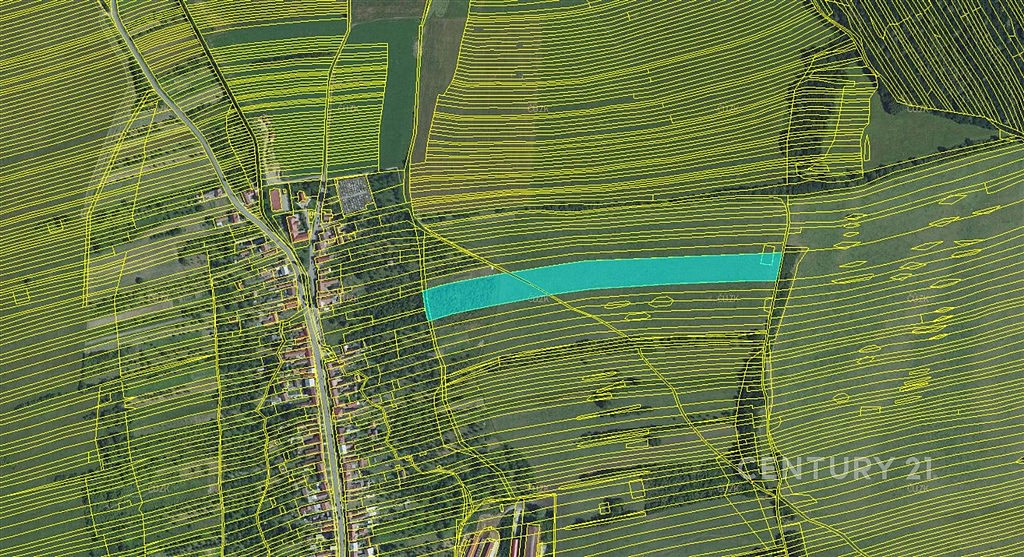 Prodej pole 11 063 m² — photo 3