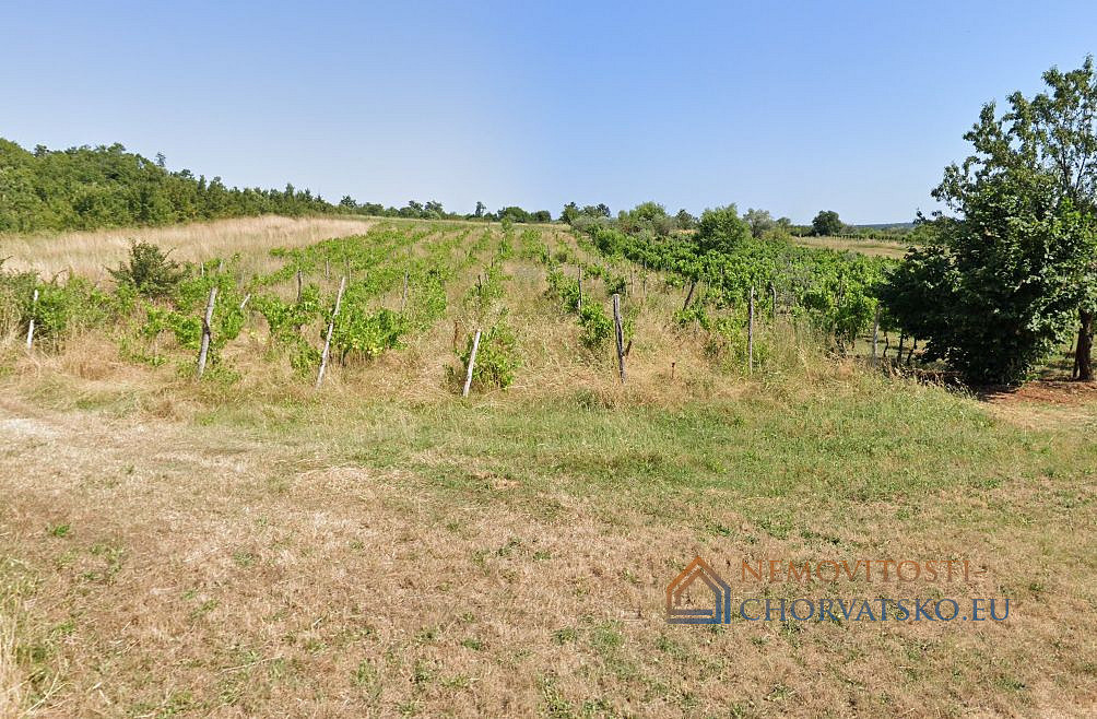 Prodej stavebního pozemku 7 595 m² - Widok 2