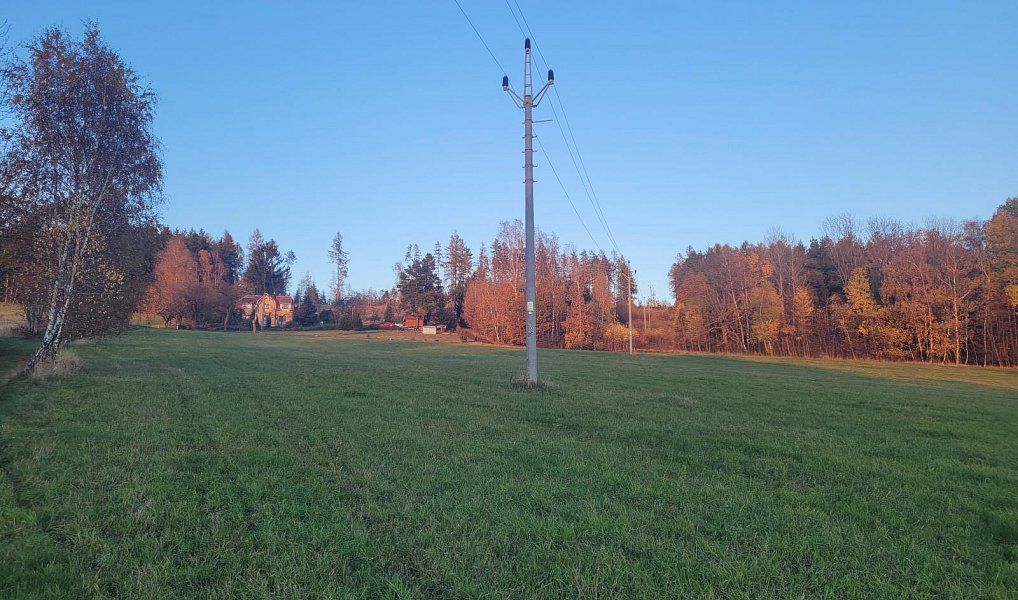Prodej louky 6 834 m², Železný Brod – náhled fotky 6