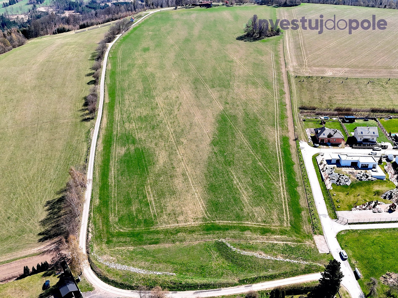 Prodej stavebního pozemku 10 000 m² – fotografie 4