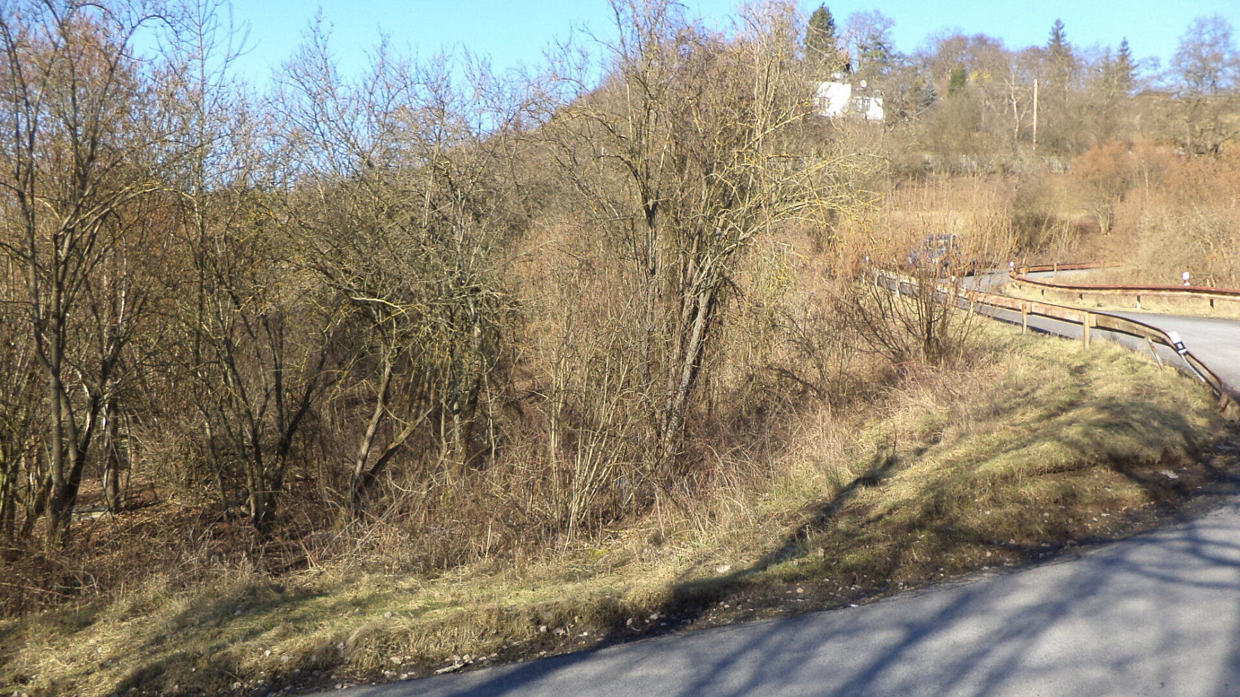 Prodej zahrady 1 700 m² – pohled 2