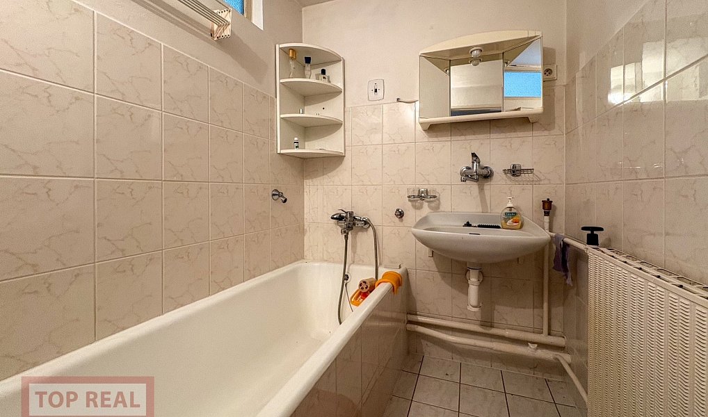 Prodej domu 230 m² s pozemkem 498 m², Zborovice – náhled fotky 21