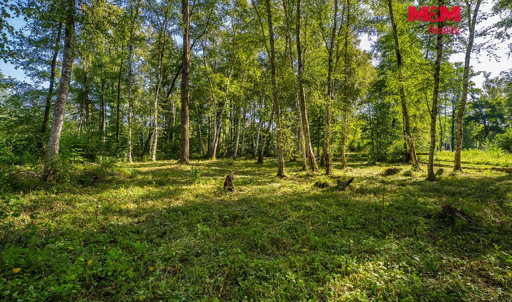 Prodej stavebního pozemku 3 825 m², Hradištko – náhled fotky 4