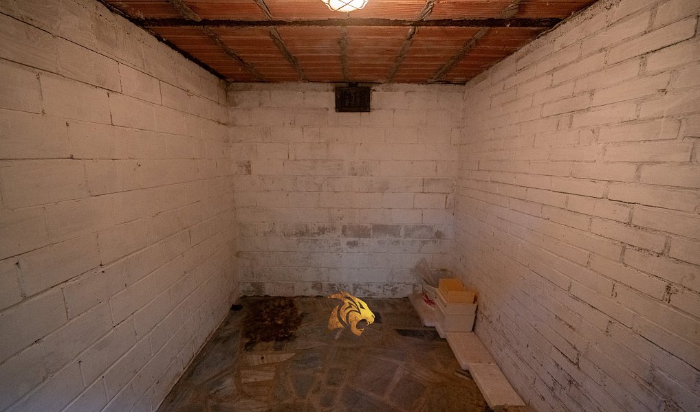 Prodej domu 280 m² s pozemkem 662 m², Sušice – náhled fotky 26