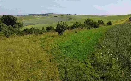 Prodej pole 3 134 m², Bučovice, okres Vyškov