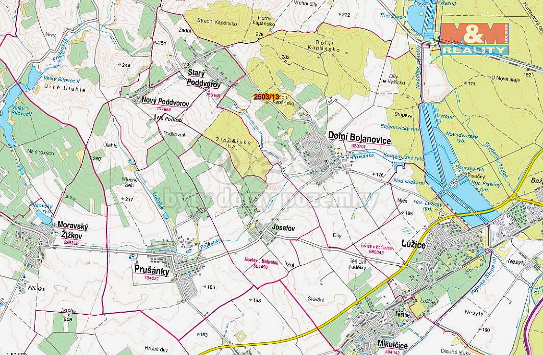 Prodej pole 300 m² – fotografie 5