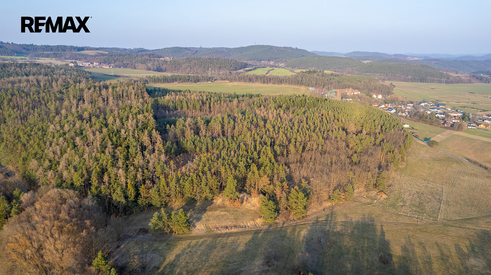 Prodej lesa 14 998 m² – pohled 4