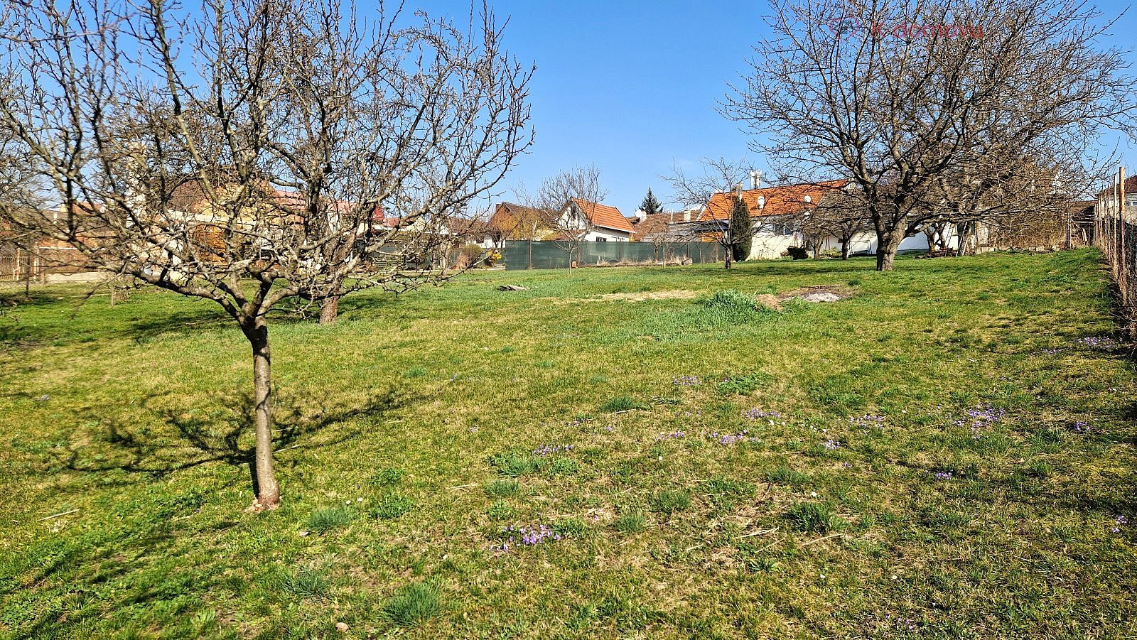 Prodej stavebního pozemku 1 755 m² – fotografie 4