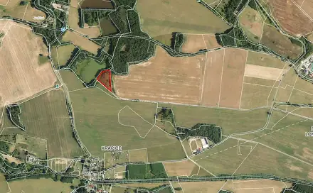 Prodej pole 7 083 m², Františkovy Lázně - Krapice, okres Cheb