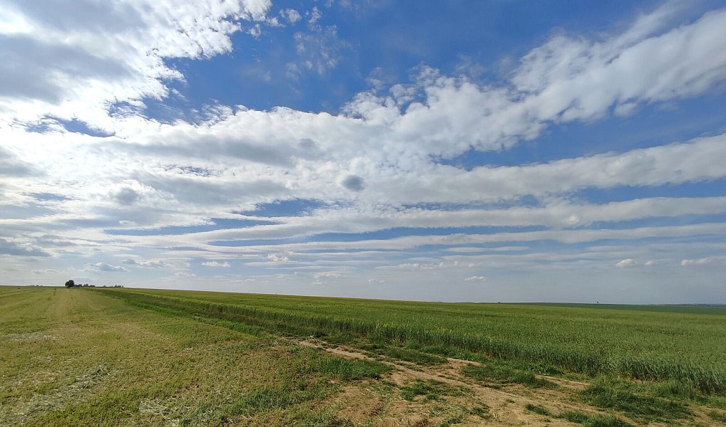 Prodej lesa 17 681 m², Číměř – náhled fotky 11