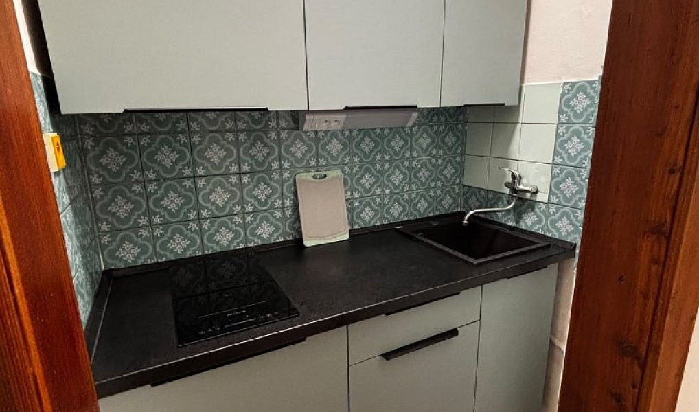 Pronájem bytu 1+kk 24 m², Plzeň – náhled fotky 5