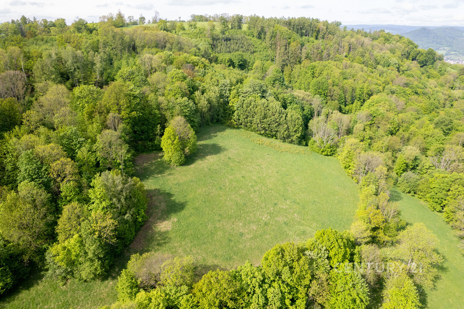 Prodej louky 27 274 m²