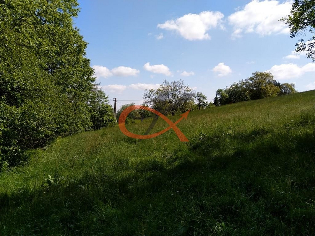 Prodej stavebního pozemku 9 208 m² – fotografie 3