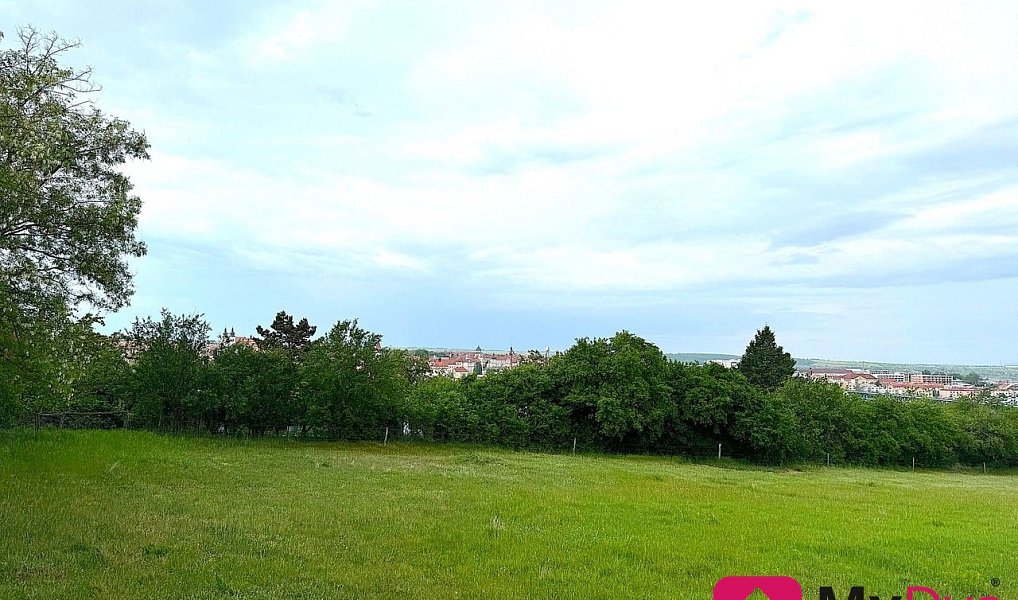 Prodej pole 7 045 m², Nový Šaldorf-Sedlešovice – náhled fotky 4